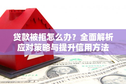 新洲贷款被拒怎么办？全面解析应对策略与提升信用方法