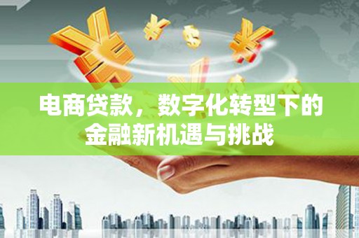 新洲电商贷款，数字化转型下的金融新机遇与挑战