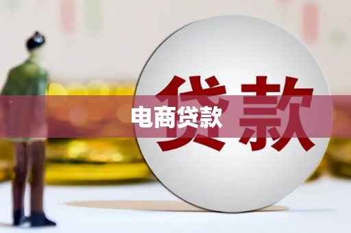 新洲电商贷款