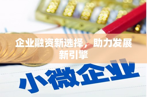 新洲企业融资新选择，助力发展新引擎