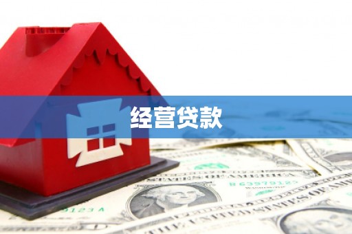 新洲经营贷款