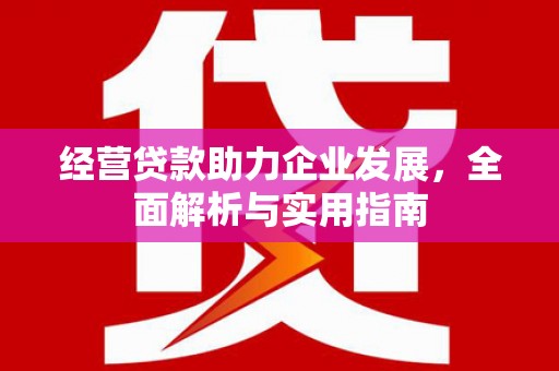新洲经营贷款助力企业发展，全面解析与实用指南