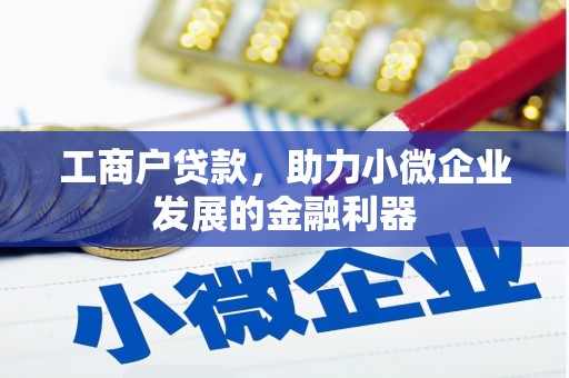 新洲工商户贷款，助力小微企业发展的金融利器