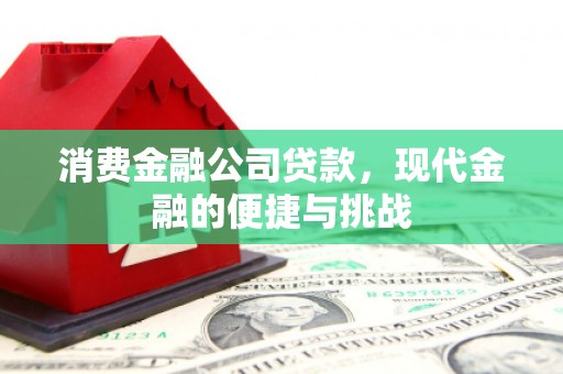 新洲消费金融公司贷款，现代金融的便捷与挑战