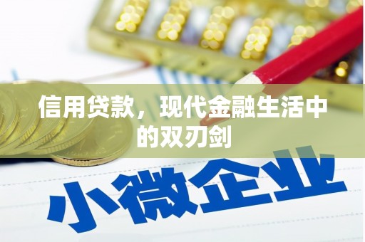 新洲信用贷款，现代金融生活中的双刃剑