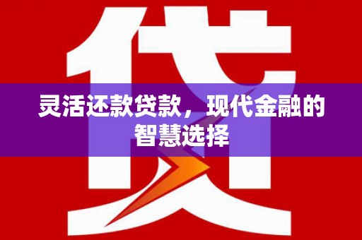 新洲灵活还款贷款，现代金融的智慧选择