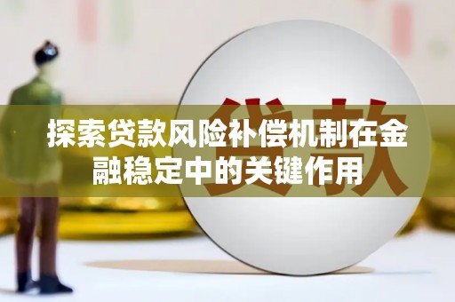新洲探索贷款风险补偿机制在金融稳定中的关键作用