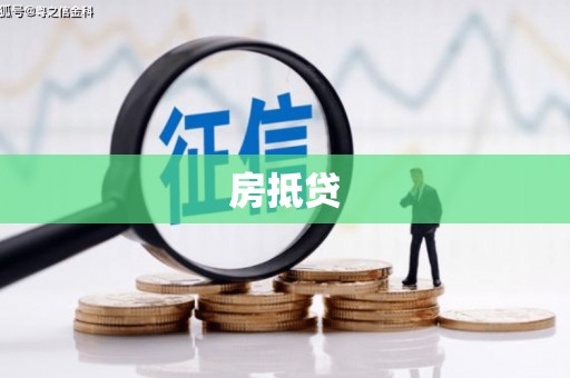 新洲房抵贷