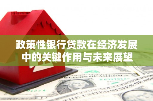 新洲政策性银行贷款在经济发展中的关键作用与未来展望