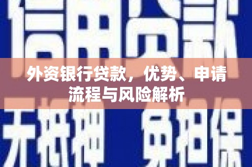 新洲外资银行贷款，优势、申请流程与风险解析