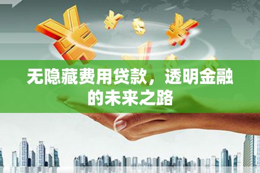 新洲无隐藏费用贷款，透明金融的未来之路