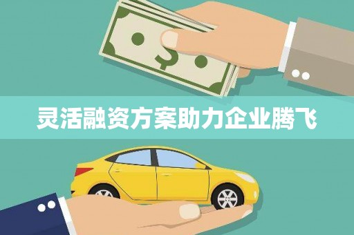 新洲灵活融资方案助力企业腾飞
