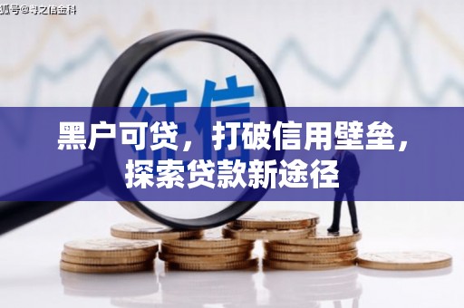 新洲黑户可贷，打破信用壁垒，探索贷款新途径