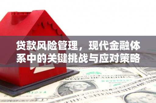 新洲贷款风险管理，现代金融体系中的关键挑战与应对策略