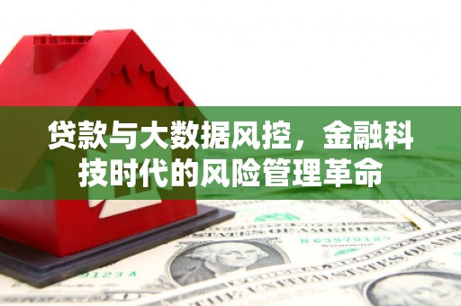 新洲贷款与大数据风控，金融科技时代的风险管理革命