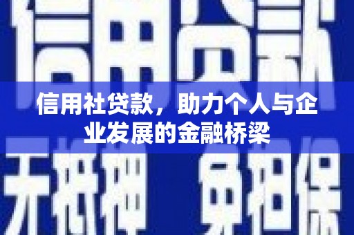 新洲信用社贷款，助力个人与企业发展的金融桥梁