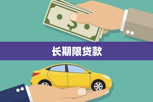 新洲长期限贷款