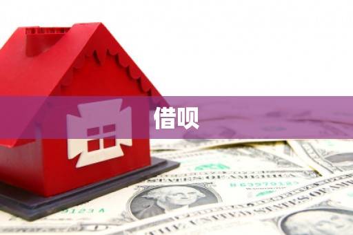 新洲借呗