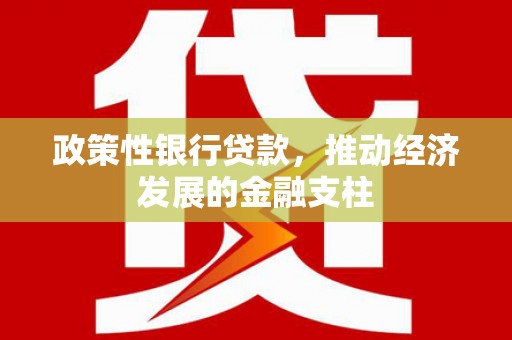 新洲政策性银行贷款，推动经济发展的金融支柱