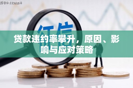 新洲贷款违约率攀升，原因、影响与应对策略