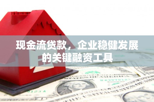 新洲现金流贷款，企业稳健发展的关键融资工具