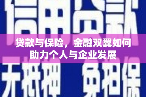 新洲贷款与保险，金融双翼如何助力个人与企业发展