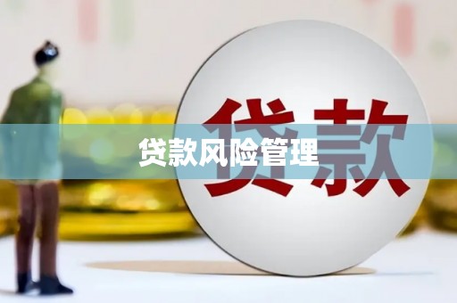 新洲贷款风险管理
