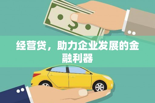 新洲经营贷，助力企业发展的金融利器