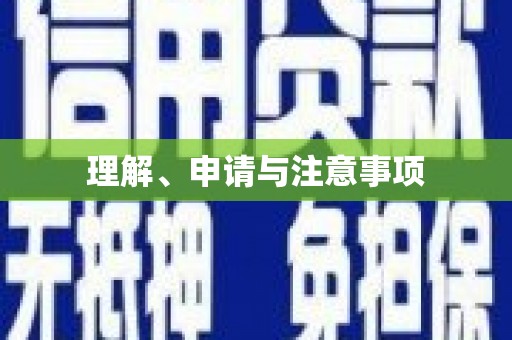新洲理解、申请与注意事项
