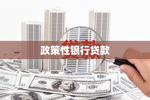 新洲政策性银行贷款