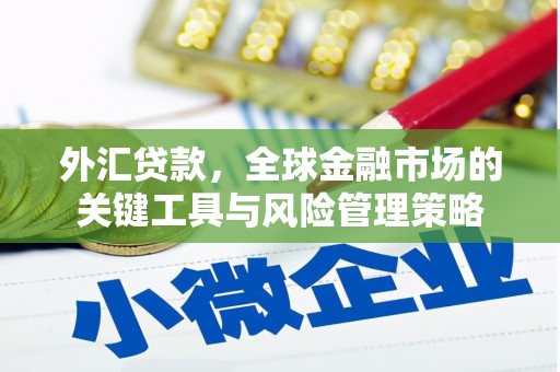 新洲外汇贷款，全球金融市场的关键工具与风险管理策略