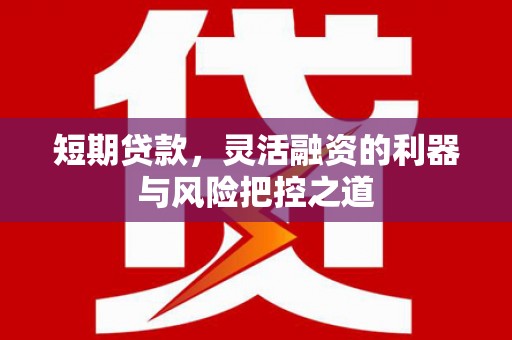 新洲短期贷款，灵活融资的利器与风险把控之道