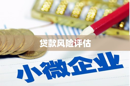 新洲贷款风险评估