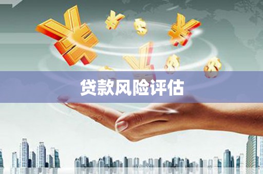 新洲贷款风险评估