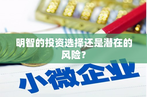 新洲明智的投资选择还是潜在的风险？