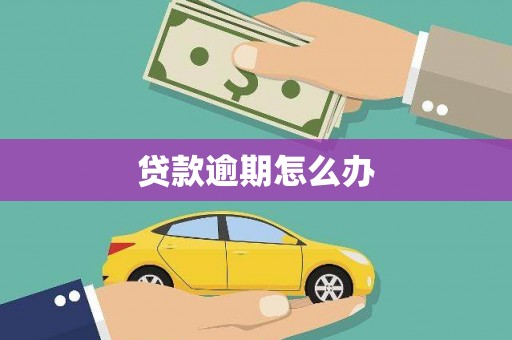 新洲贷款逾期怎么办