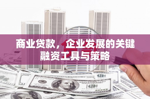 新洲商业贷款，企业发展的关键融资工具与策略