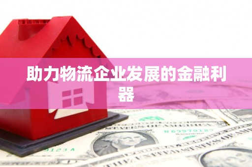 新洲助力物流企业发展的金融利器