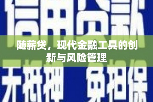 新洲随薪贷，现代金融工具的创新与风险管理