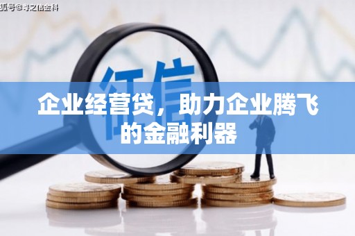 新洲企业经营贷，助力企业腾飞的金融利器