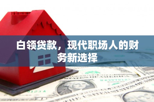 新洲白领贷款，现代职场人的财务新选择