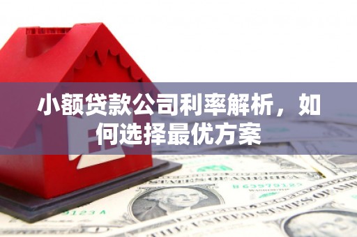 新洲小额贷款公司利率解析，如何选择最优方案