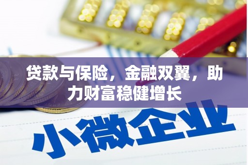 新洲贷款与保险，金融双翼，助力财富稳健增长