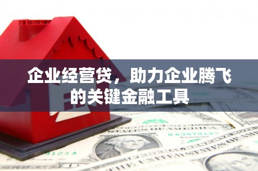 新洲企业经营贷，助力企业腾飞的关键金融工具