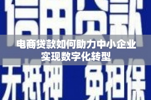 新洲电商贷款如何助力中小企业实现数字化转型