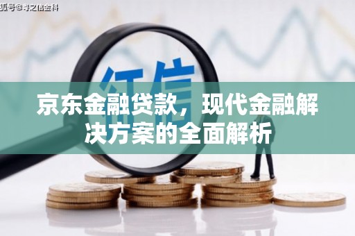 新洲京东金融贷款，现代金融解决方案的全面解析
