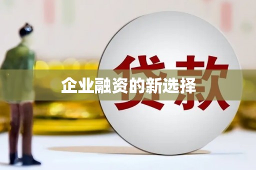 新洲企业融资的新选择