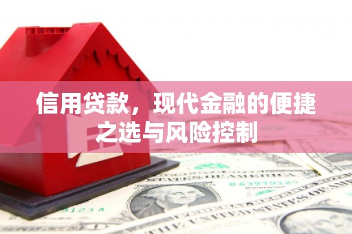 新洲信用贷款，现代金融的便捷之选与风险控制