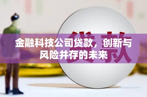 新洲金融科技公司贷款，创新与风险并存的未来