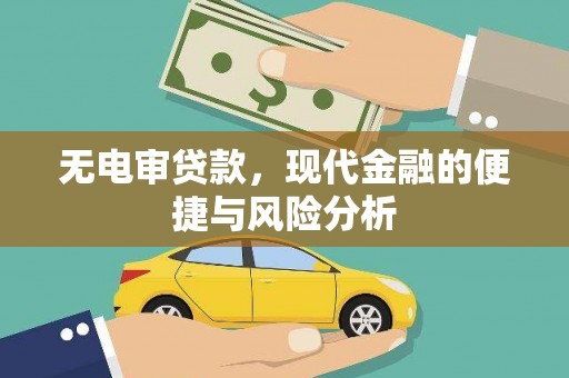 新洲无电审贷款，现代金融的便捷与风险分析